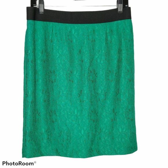 NEW Alfani Lace Pencil Skirt Green Sz 10P Metal Zip Closure Elastic Waist - Picture 1 of 4